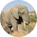 Johan Fourie profile picture